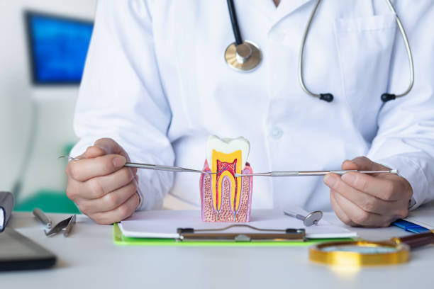 Best Emergency Dental Surgery in St Paul, TX